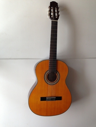 Đàn guitar N.tab - nc35